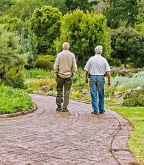 Image - petite_promenade.jpg