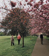 Image - promenade_sante.jpg